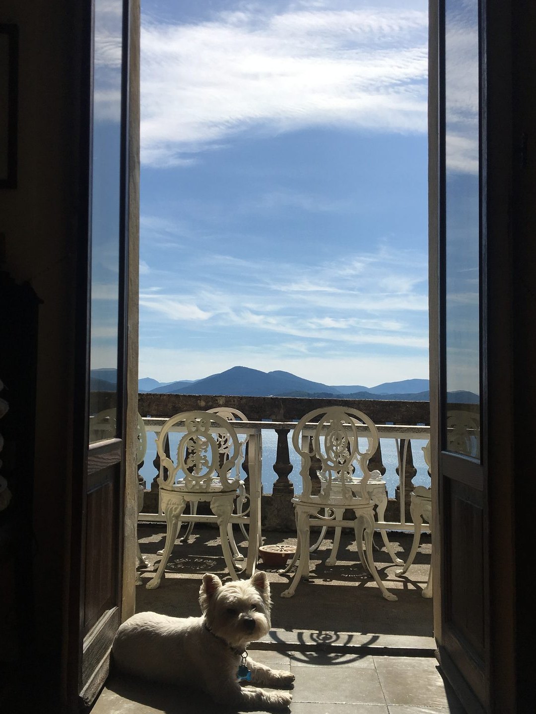 A small white dog in the open doorway to the balcony, the lake behind