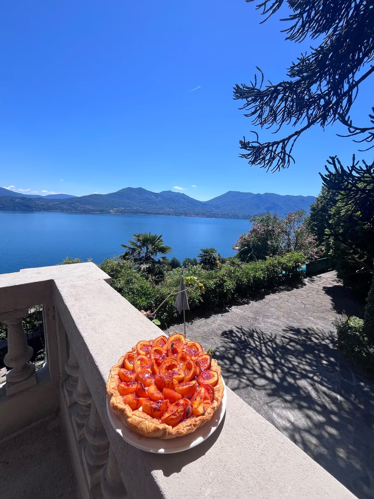 An apricot tart on the balcony balustrade above the lake