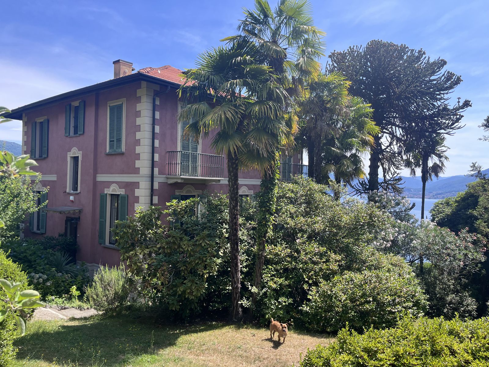 The rose-coloured villa among palms, seen from the garden